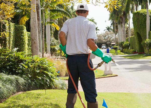 About Waukon IA Pest Control